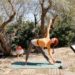 Pilates salutation à la lune